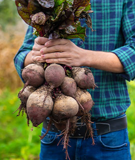 Beetroot