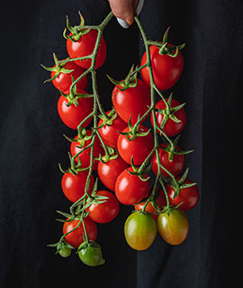 Cherry Tomato